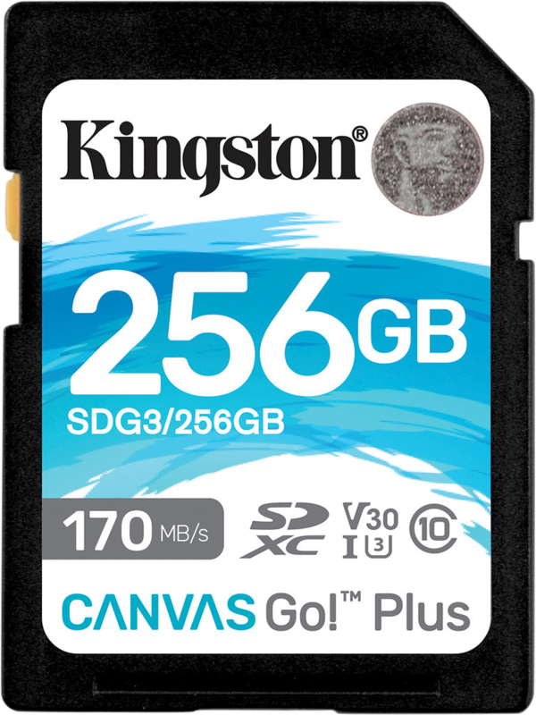 Aanbieding Kingston Canvas Go Plus 256GB (geheugenkaarten)