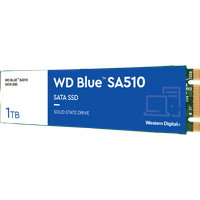 Koop WD Blue SA510 1TB SATA M.2 SSD - 718037884707