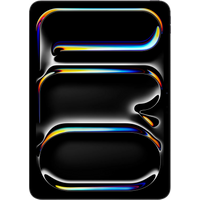 Koop iPad Pro 11" 256GB Wifi - 0195950395488