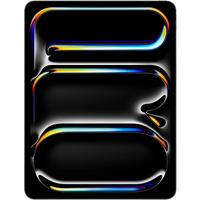 Koop iPad Pro 13" 256GB Wifi - 0195950398380